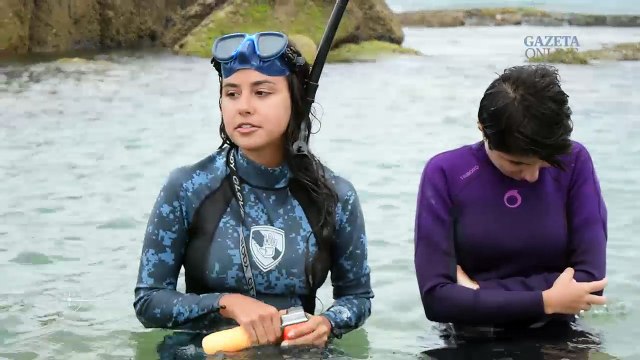 Conheça as Ilhas de Pituã e Itatiaia, na praia de Itapuã, em Vila Velha