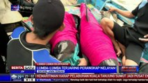 Dua Lumba-Lumba Tersangkut Jaring Nelayan Rembang