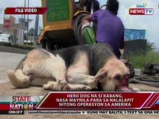 SONA: Hero dog na si Kabang, nasa Maynila para sa nalalapit nitong operasyon sa Amerika