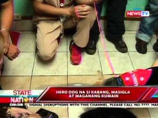 SONA: Hero dog na si Kabang, masigla at maganang kumain