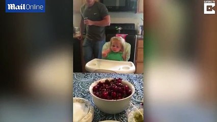Screaming cake pop gender reveal terrifies baby girl