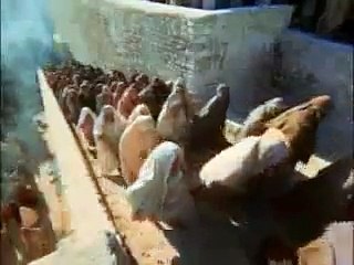 Bob Dylan - Gotta Serve Somebody  - January 16, 1980 Seeking Salvation -  Paramount Theatre - Portland Oregon