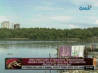 24Oras: Bird Sanctuary at Bakawan, nanganganib masira kapag natuloy ang reclamation sa Manila Bay
