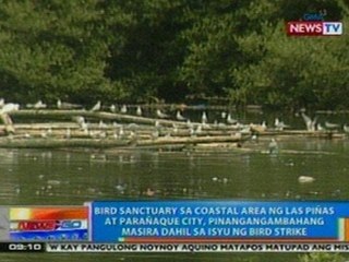 NTG: Bird Sanctuary sa Las Piñas, Parañaque, pinangangambahang masira dahil sa isyu ng bird strike