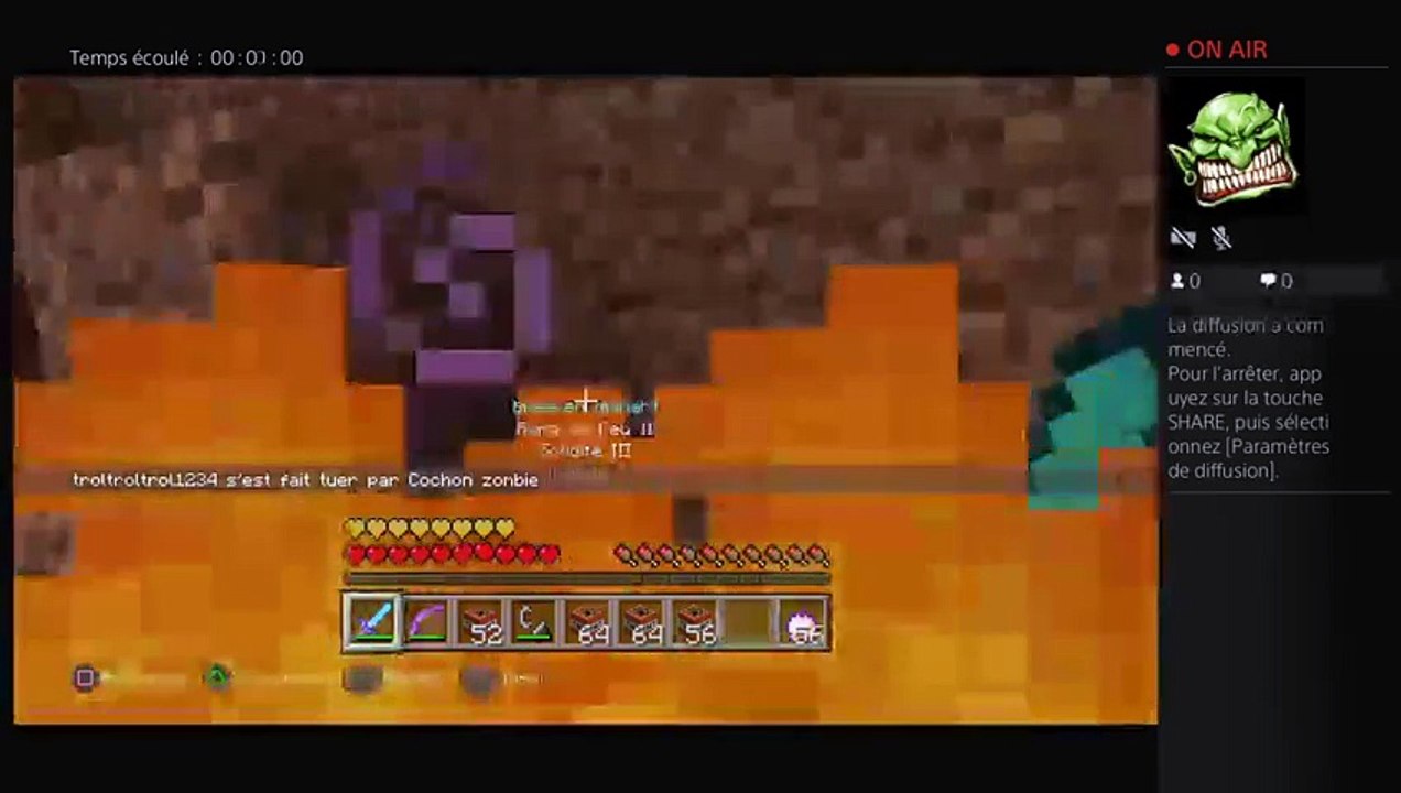 Combat contre des cochons zombies (5)