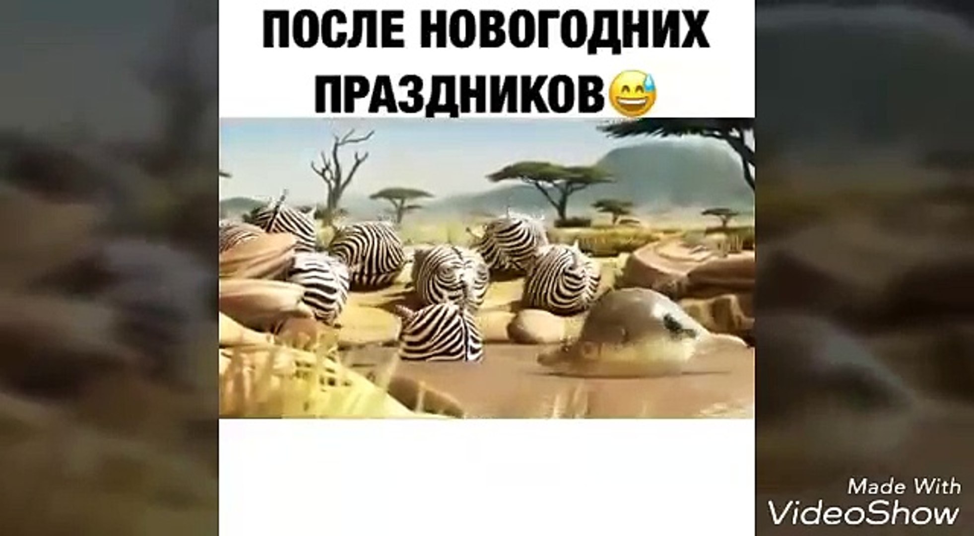 Приколы #3