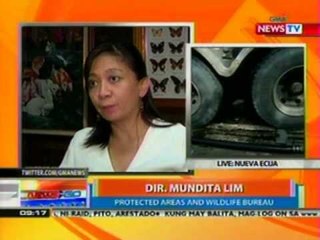 NTG: Pari sa Cebu, posibleng maharap sa relamo dahil sa pangongolekta ng mga imahen na gawa sa ivory