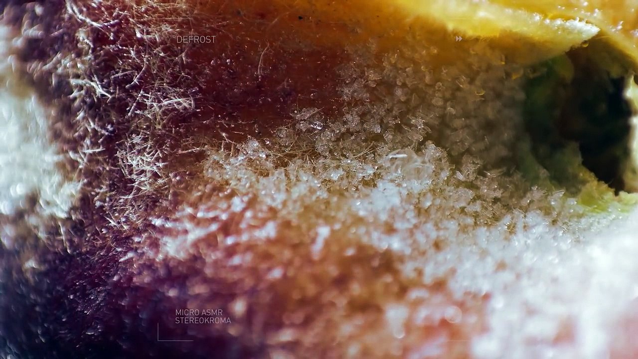 Dondurulmuş meyve ve sebzelerin erimesi