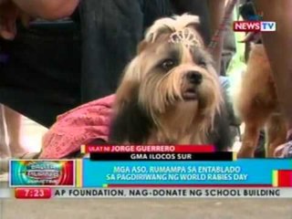 BP: Mga aso, rumampa sa entablado sa   pagdiriwang ng World Rabies Day