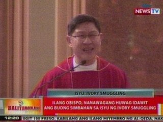 BT: Ilang Obispo, nanawagang huwag idawit ang buong simbahan sa isyu ng ivory smuggling
