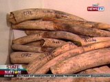 Pagkawala ng mga elephant tusk na na-recover noong 2009, sentro ng imbestisyon ng NBI