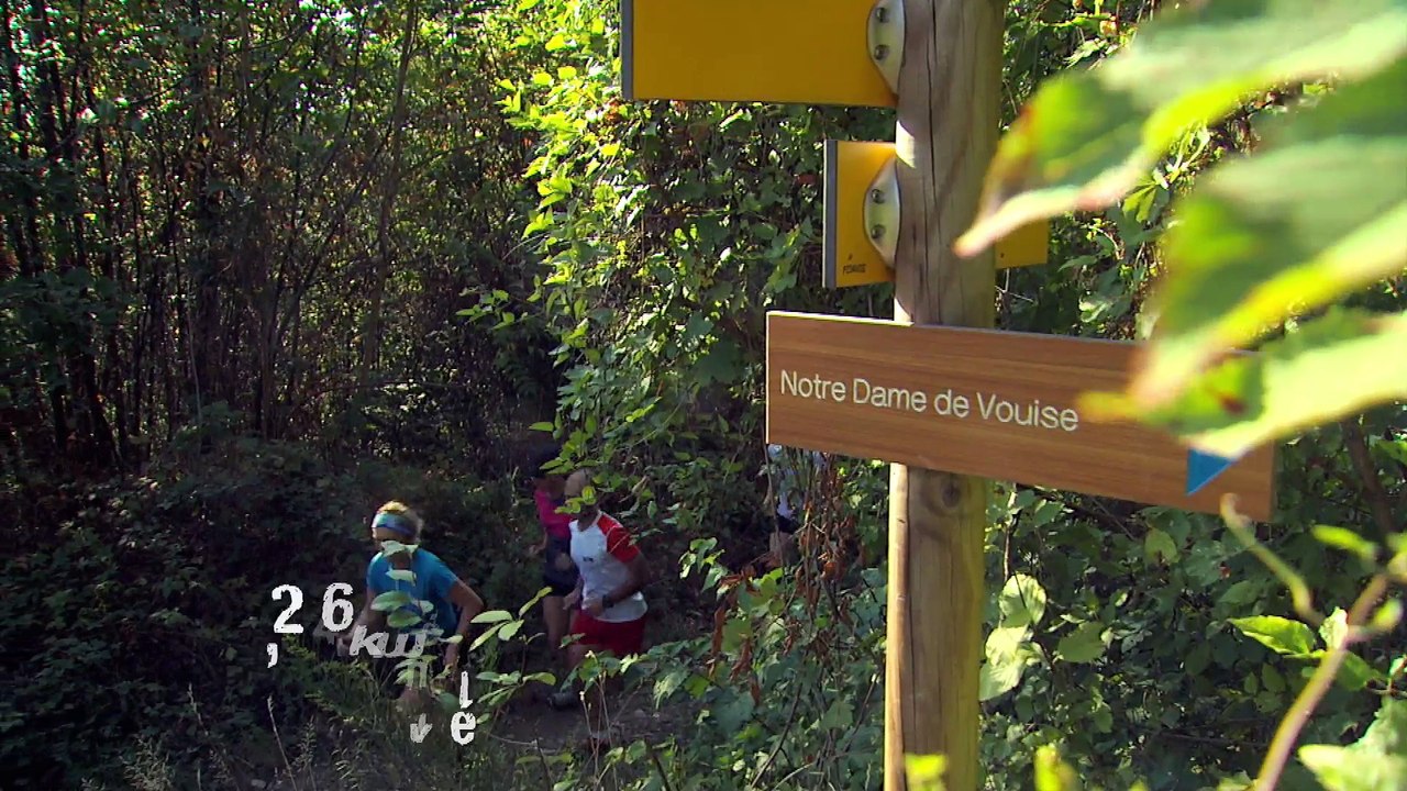 Le Pays Voironnais A pied, Tour du lac de Paladru, Trail, Marche nordique, Balade avec les lamas et Cani-rando