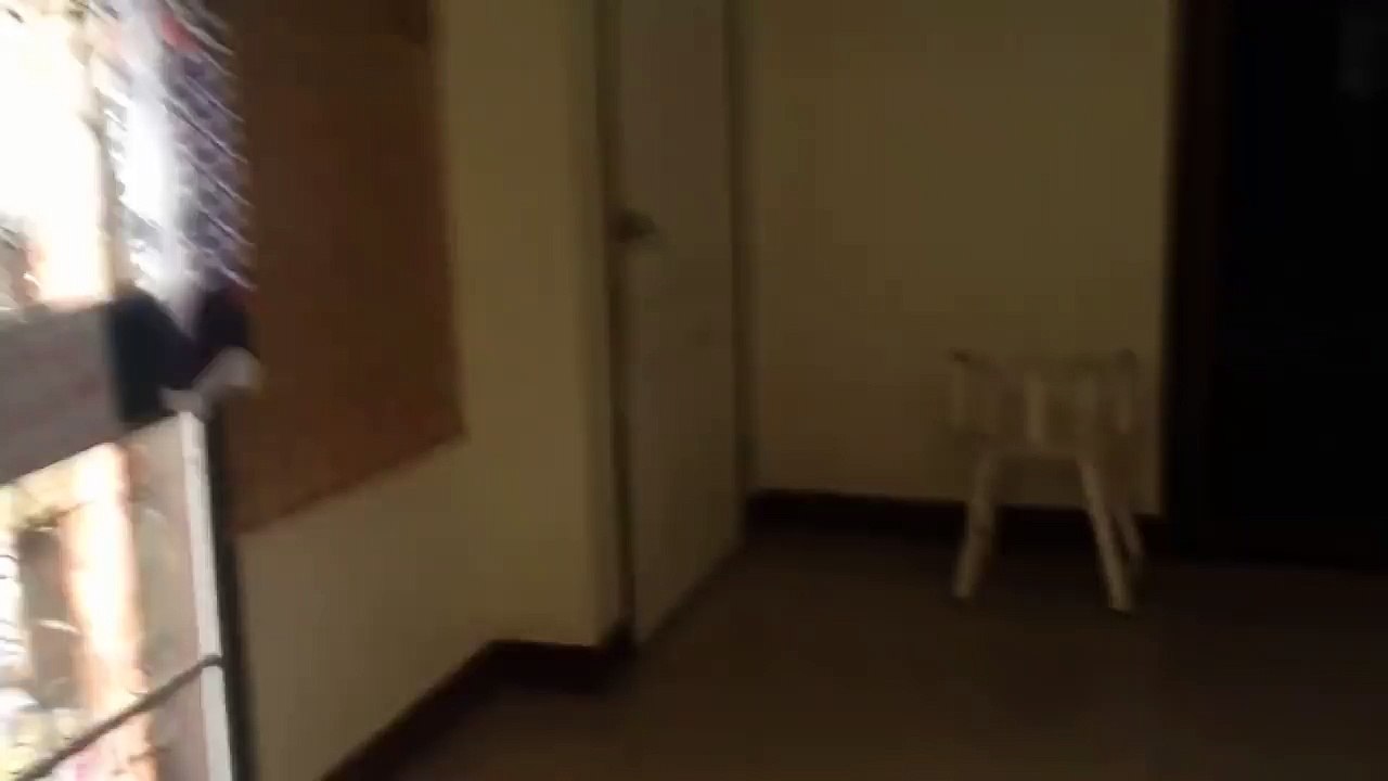 Un chien la tête coincée dans le canapé