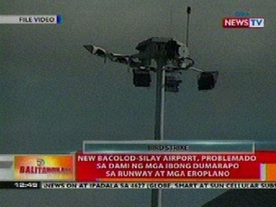 BT: New Bacolod-Silay Airport, problemado sa dami ng mga ibong dumarapo sa runway at mga eroplano