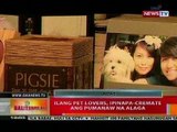 BT: Ilang pet lovers, ipinapa-cremate ang pumanaw na alaga