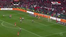 3-3 OWN GOAL BY Fabio Espinho - Benfica 3-3 Boavista 14.01.2017 HD