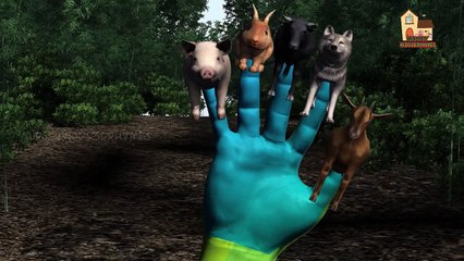 Pig Dog Finger family nursery 3d English rhymes | Funny Animals Finger Family kis songs