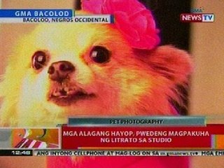 Скачать видео: BT: Mga alagang hayop, pwedeng magpakuha ng litrato sa studio sa Negros Occidental