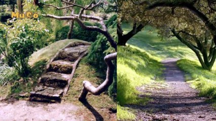 Celal Özsarı - Bağlandı Yollarım (Yüreğimizdeki Türküler)