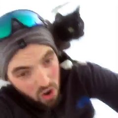 Sledding with my cat.