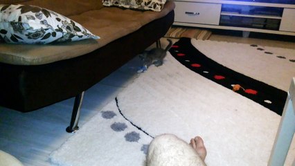 oyuncu minik duman :)