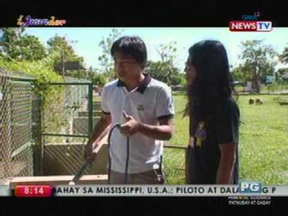 IJuander: Crocodile Lechon