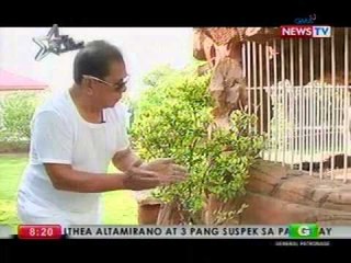 Gov. Chavit Singson sa Follow That Star