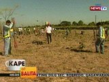 KB: Tree planting project sa bahagi ng SCTEX, pinangunahan ng GMA Network