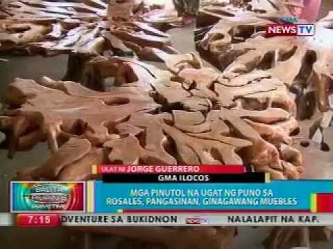 BP: Mga pinutol na ugat ng puno sa Rosales, Pangasinan, ginagawang muebles