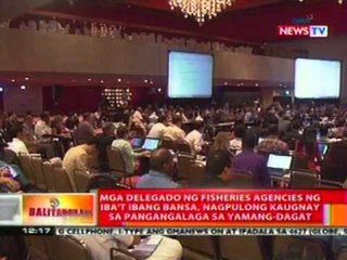 BT: Animal rights activists, nag-vigil para sa dolphin na namatay habang ibinibiyahe