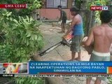 NTG: Clearing operations sa mga bayan sa Cebu na naapektuhan ng Bagyong Pablo, sinimulan na