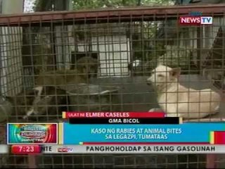 BP: Kaso ng rabies at animal bites sa Legazpi, tumataas
