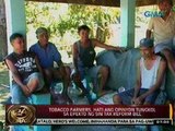 24Oras: Tobacco farmers, hati ang opinyon tungkol sa epekto ng Sin Tax Reform Bill