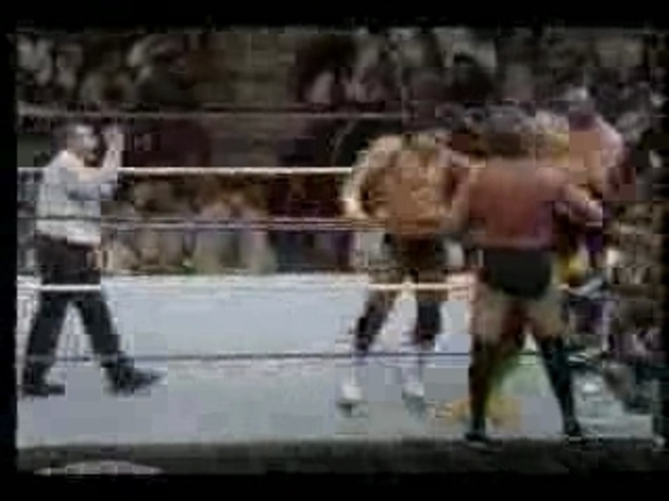 Survivor Series 1990 Hogan/Warrior vs Million Dollar Man