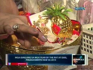 Saksi: Mga isinilang sa year of the rat at dog, pinakaswerte raw sa 2013 o Year of the Water Snake