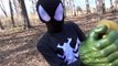 Black Spiderman Venom vs Pumpkin Challenge Smash vs Hulk Gloves Superheroes Movie In Real Life IRL