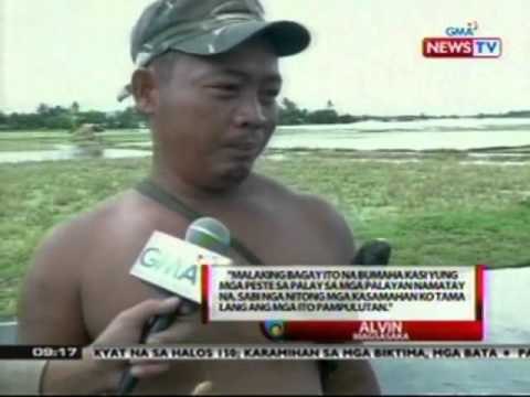 SONA: Ilang lugar na sinalanta ng bagyo, lubog pa rin sa baha; ekta-ektaryang palayan, nasira