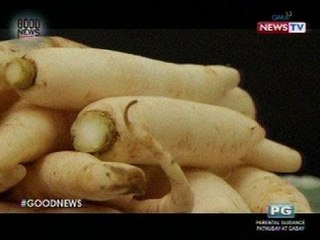 Good News: Alamin ang iba't ibang gamit ng labanos