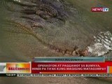 BT: Operasyon at paggamot sa buwaya, hindi pa tiyak kung magiging matagumpay