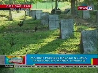 BP: Mahigit P.5-M halaga ng panabong na manok sa La Union, tinangay