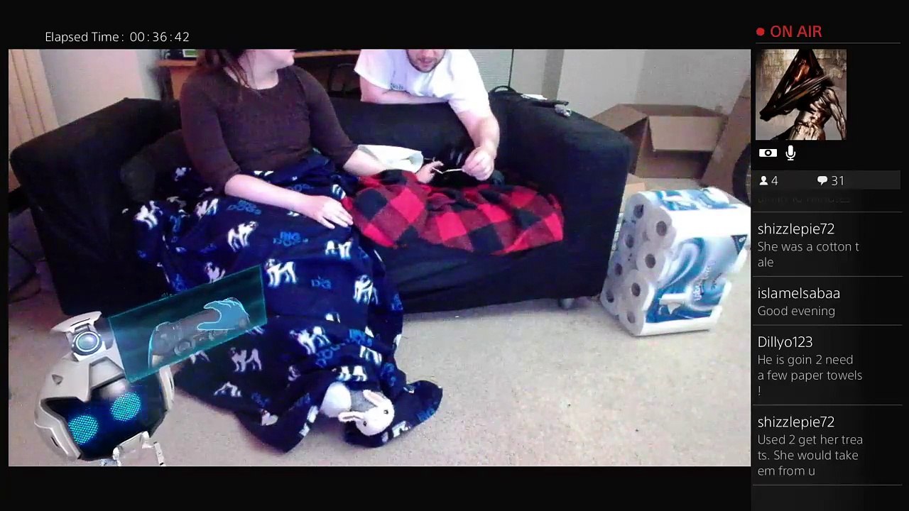 Bunny playtime!