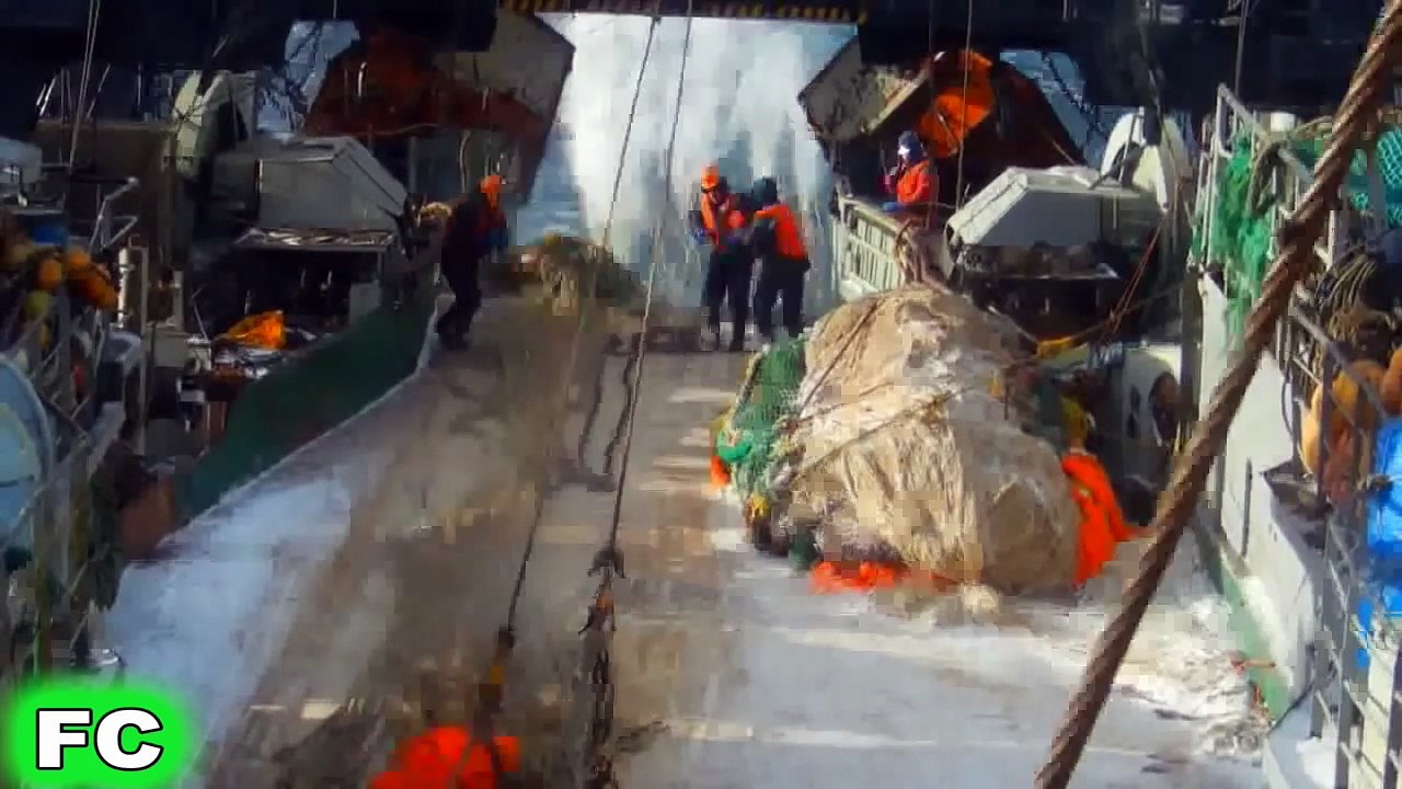 Best FAILS & Funny Videos ★ November 2016 Compilation ★ FailCity (2)