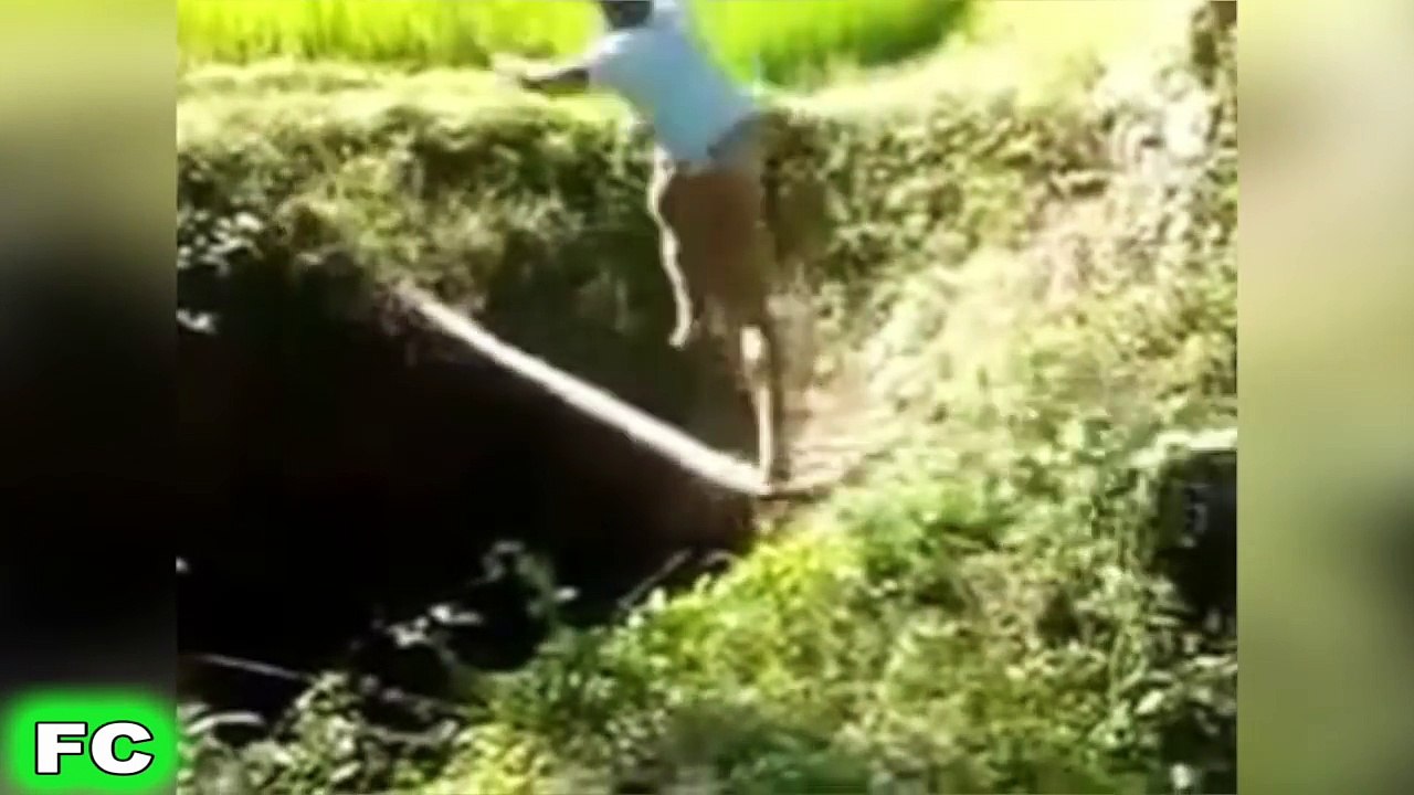 Best FAILS & Funny Videos ★ November 2016 Compilation ★ FailCity