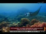 24 Oras: Corals sa Tubbataha, posibleng mas mapinsala pa kapag muling gumalaw ang USS Guardian