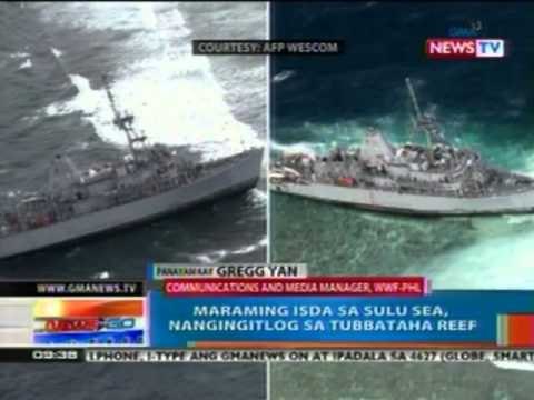 NTG: Tubbataha Reef, 25 taon nang marine protected area