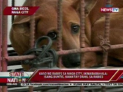 SONA: Kaso ng rabies sa Naga City, ikinababahala; isang buntis, namatay dahil sa rabies
