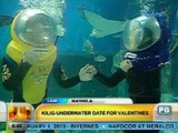 UH: Kilig-underwater date for Valentines sa Manila Ocean Park