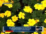 Saksi: Makukulay na halaman at flower arrangements na hugis-puso, tampok sa isang garden exhibit
