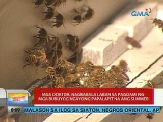 UB: Lalaki, patay dahil sa pag-atake ng mga bubuyog (Davao City)