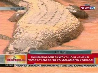 BT: Dambuhalang buwaya na si Lolong, namatay na sa di pa malamang dahilan